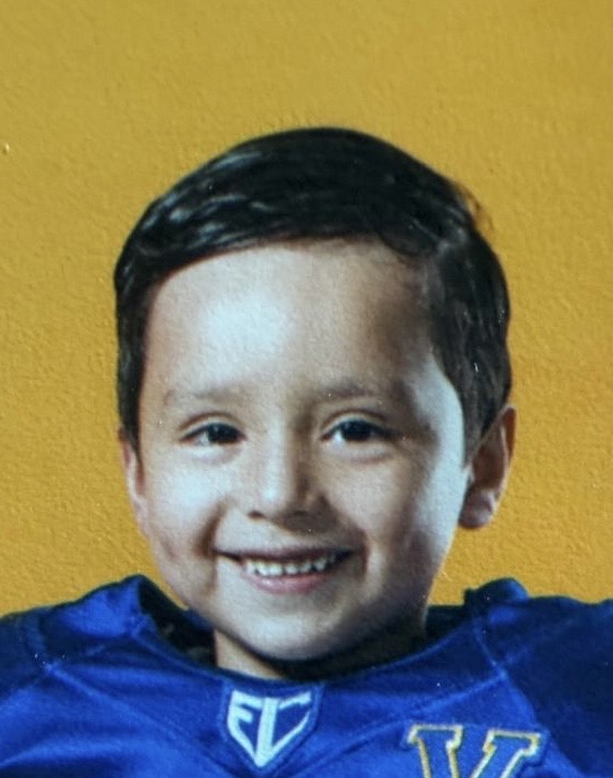 EMILIO SAENZ BAÑUELOS