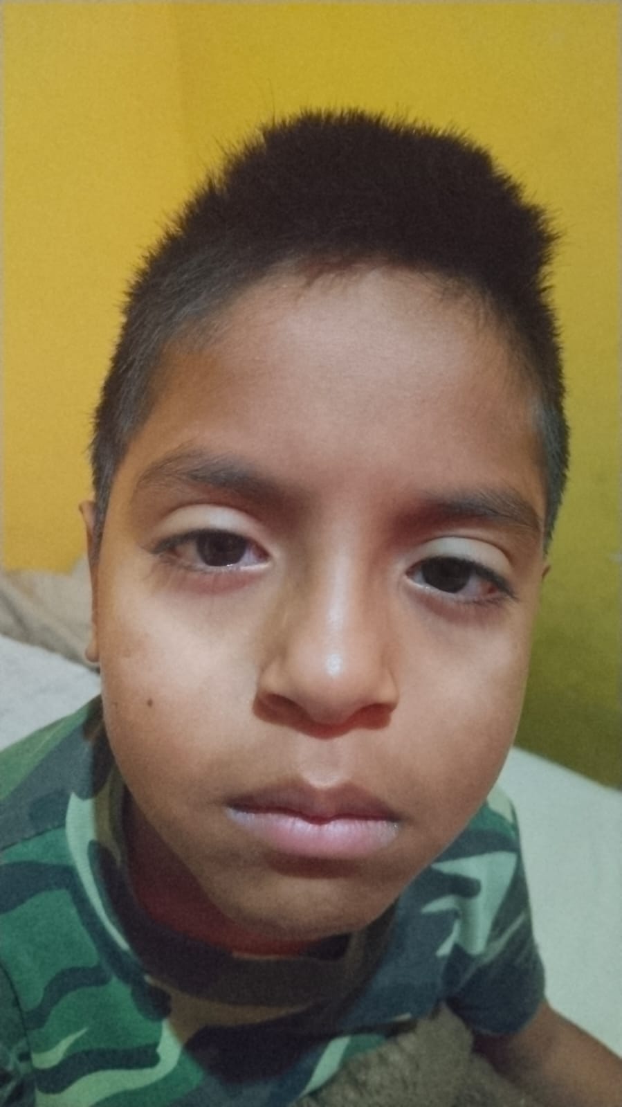 HEIDAM ALEXIS SANCHEZ TEODORO
