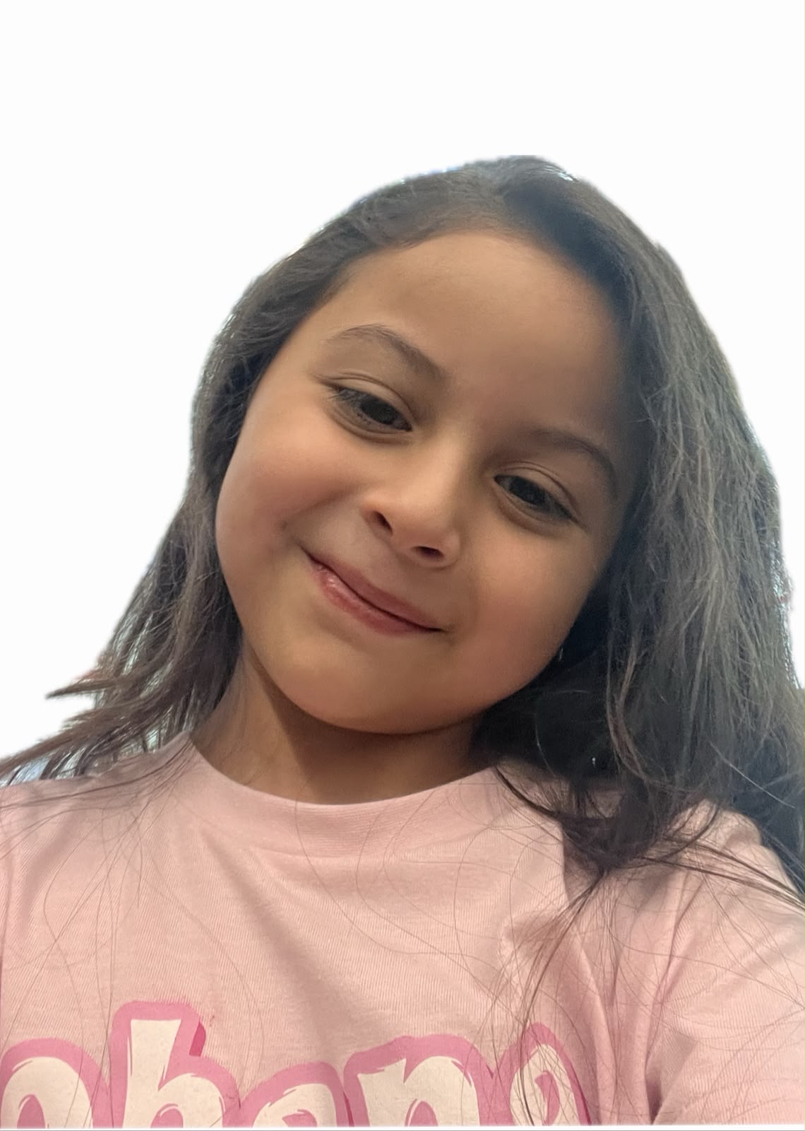 Ana Lucia Sanchez Flores